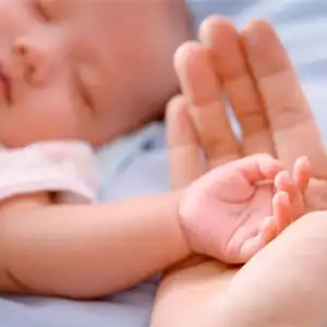 Il comune di Brtonigla-Verteneglio ha aderito al sistema e-Novorođenče