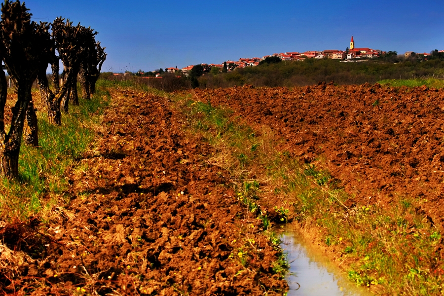 Invito alla denunciazione dei danni causati dal maltempo avvenuto il 02 maggio 2014 sul territorio del Comune di Verteneglio