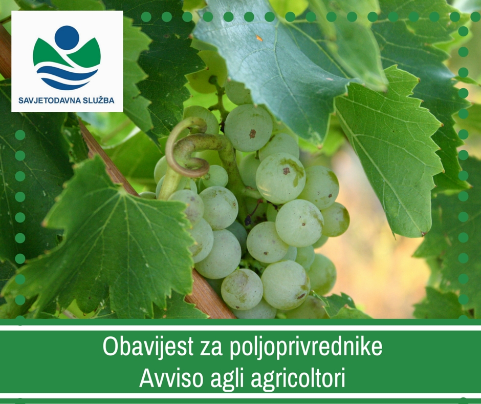 VAŽNA OBAVIJEST VINOGRADARIMA!