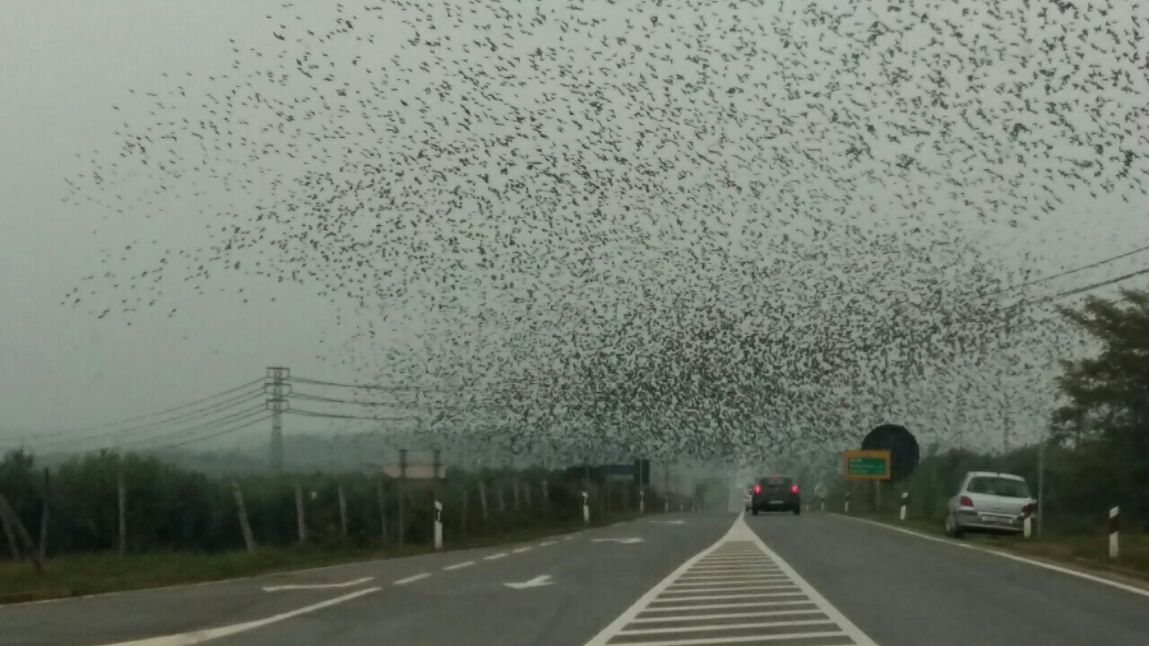 Obavijest o smetnjama u distribuciji električne energije na području općine