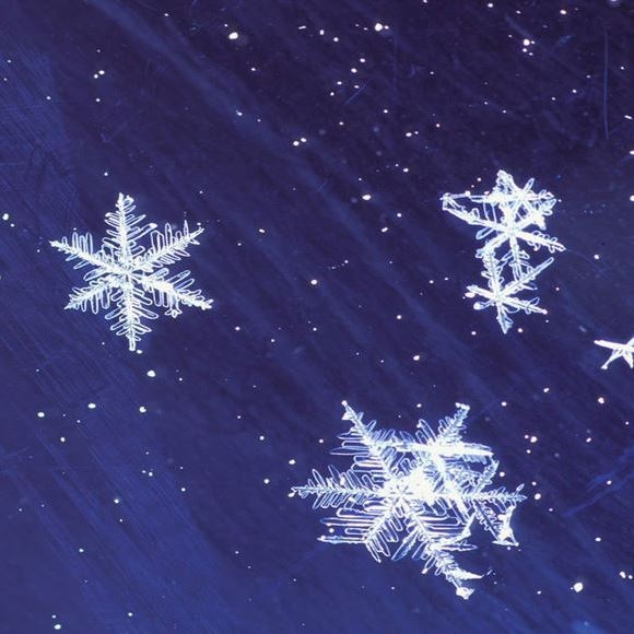 PREVENTIVNA AKCIJA - „Zašto, kako i koliko često treba pregledavati madeže?“