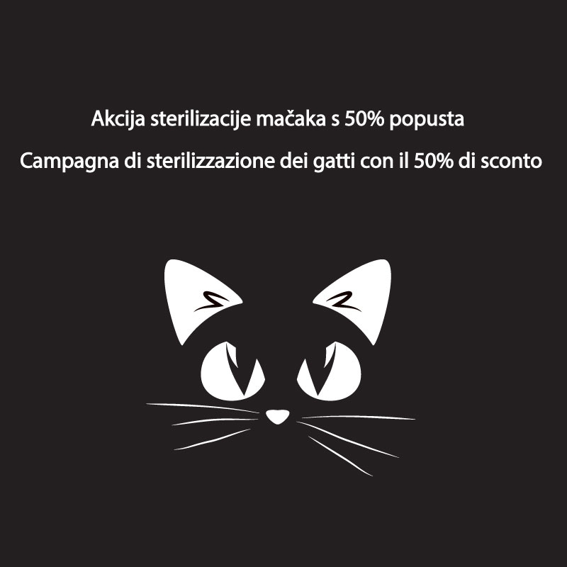 Campagna di sterilizzazione dei gatti in Istria a prezzi scontati