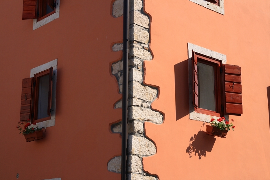 AVVISO per la candidatura del giardino, balcone, cortile di strutture commerciali piu` belle e della finestra piu` originale
