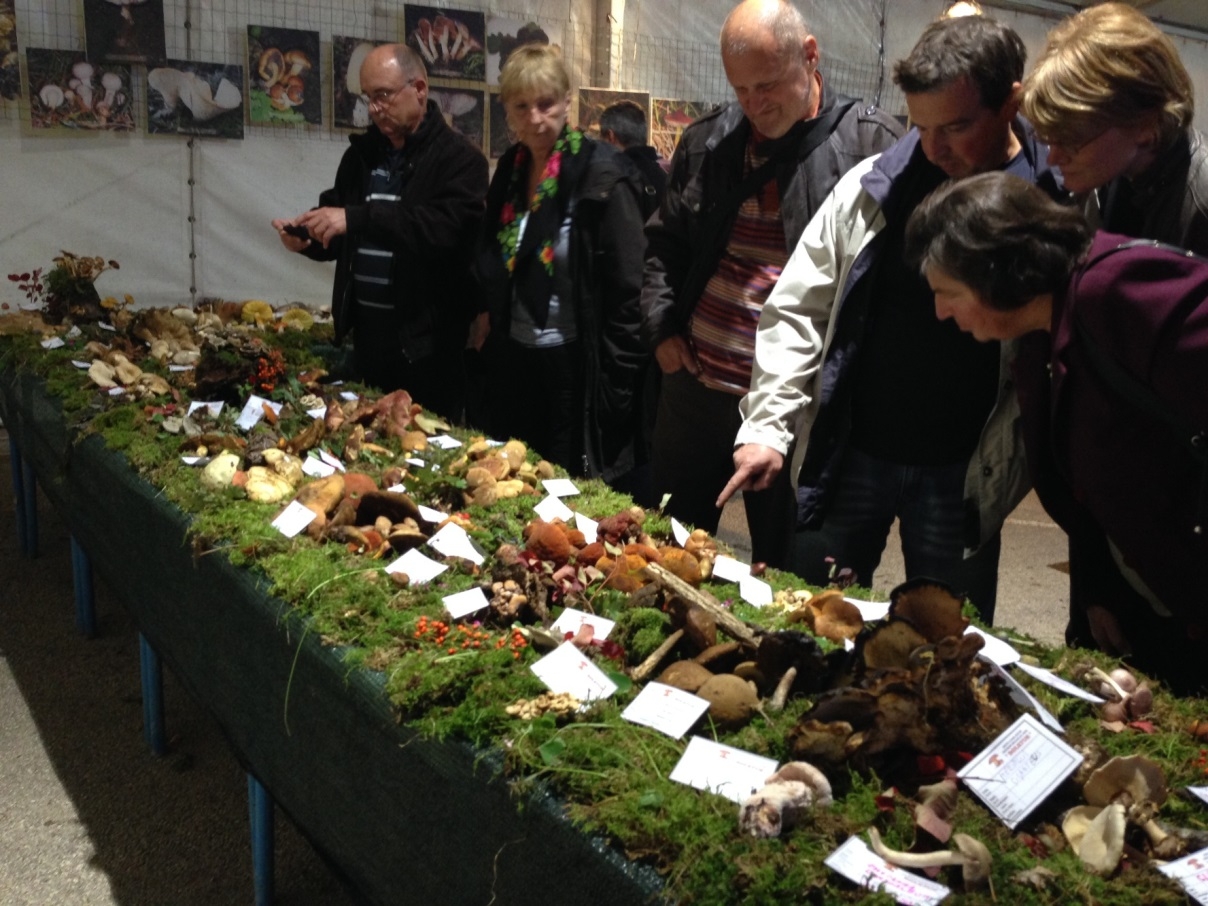 Mirisi i okusi jeseni u Brtonigli. 12. Dani gljiva