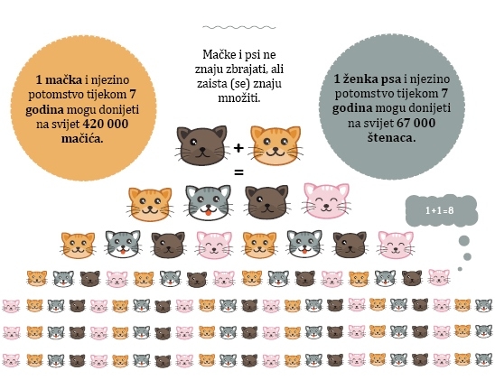 Volantino Obbligo legale sul controllo della riproduzione degli animali domestici