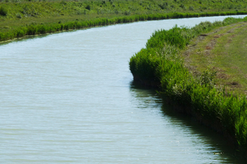 Na ovoj je slici prikazana rijeka Mirna. Na gotovo cijeloj je slici voda rijeke, vidi se tek malo trave na desnoj i lijevoj obali rijeke.
