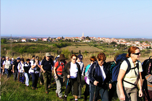 Na slici se u prvom planu vide ljudi koji pješače, u pozadini su zelena polja a iza polja se vidi naselje Brtonigla uzduž cijele slike. 1/3 slike zauzima nebo plave boje.